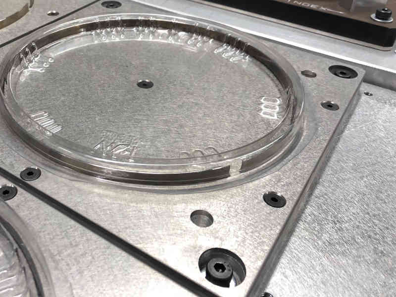 Cutting plate with locator 