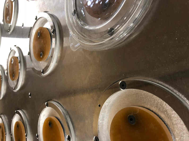 Multi level striker plate with pads  